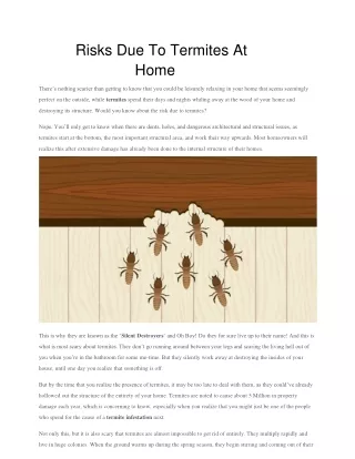 risks due to termites at home