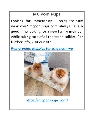 Pomeranian Puppies for Sale Near Me  Mcpompups.com