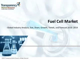 fuel cell market