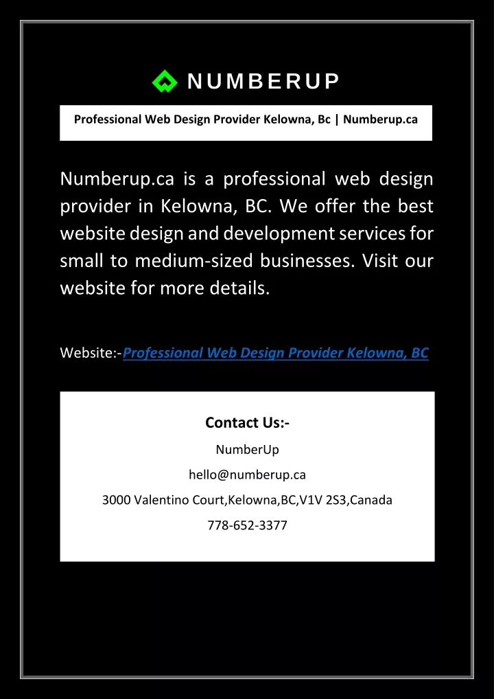professional web design provider kelowna