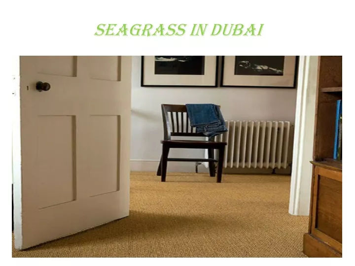 seagrass in dubai