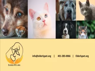 Donate jewelry