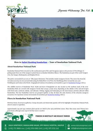 How to Safari Booking Sundarban – Tour of Sundarban National Park