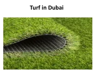 turf in dubai