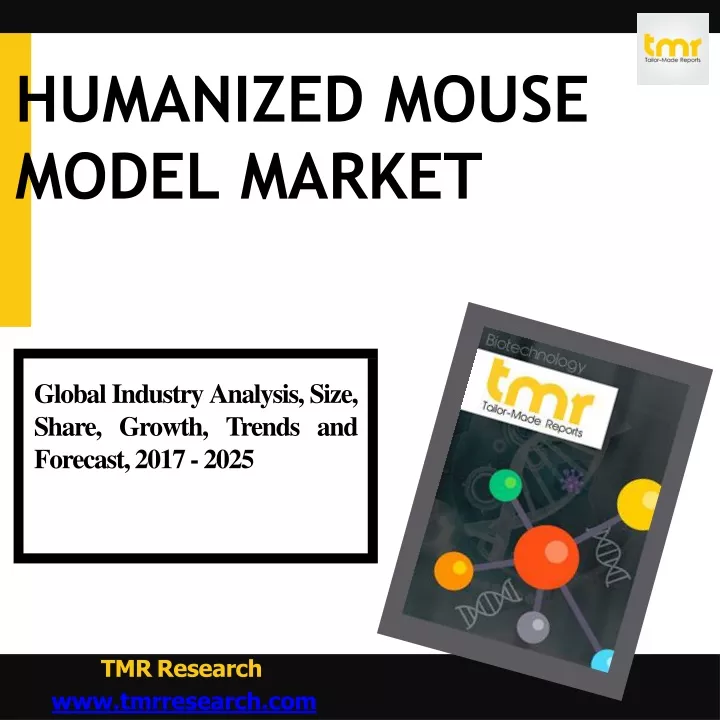 humanized mouse model market