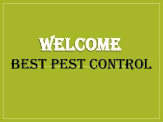 welcome