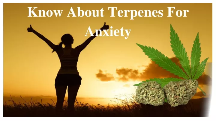 know about terpenes for anxiety