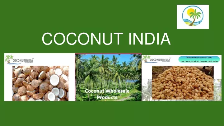 Ppt Coconut India Powerpoint Presentation Free Download Id11314043