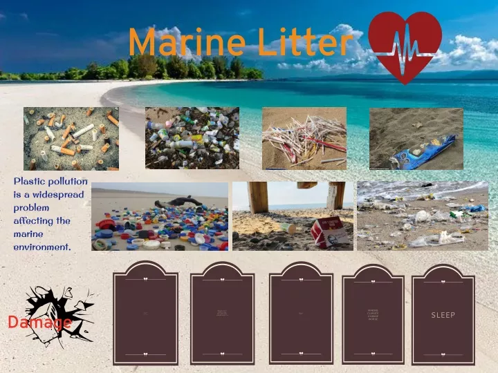 marine litter