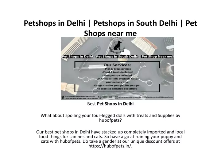 petshops in delhi petshops in south delhi pet shops near me