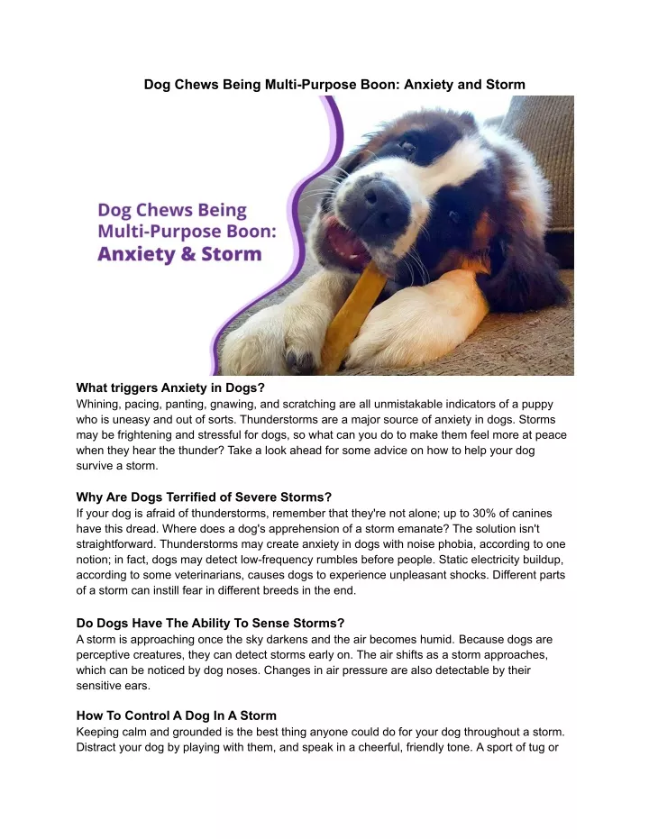 dog chews being multi purpose boon anxiety