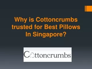 why is cottoncrumbs trusted for best pillows in singapore