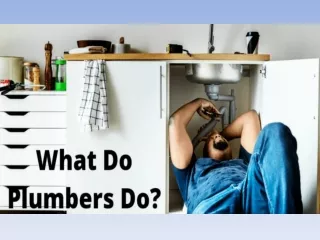 What Do Plumbers Do?