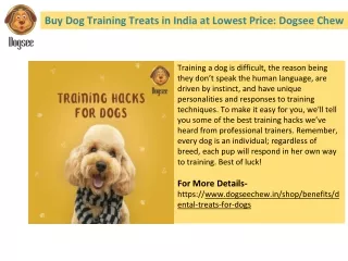 Buy the best dog treats in India | Dogsee Chew