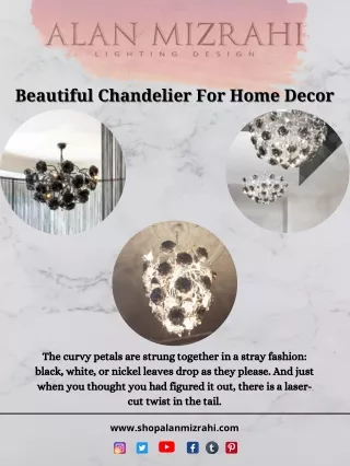 Shop Beautiful Chandelier For Home Decor - Alan Mizrahi Lighting