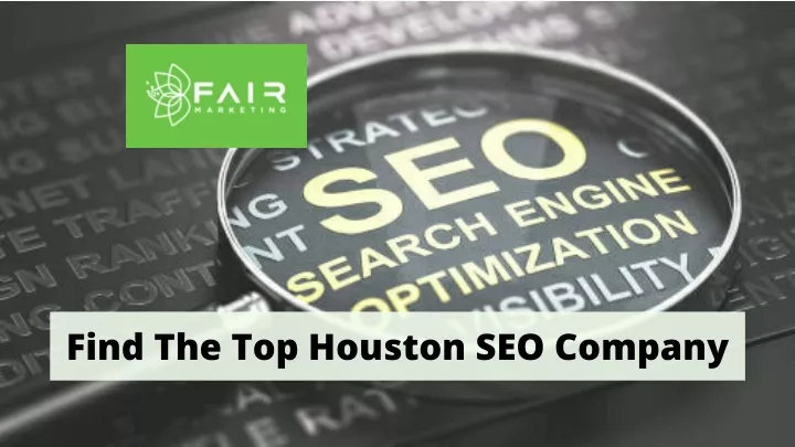 find the top houston seo company