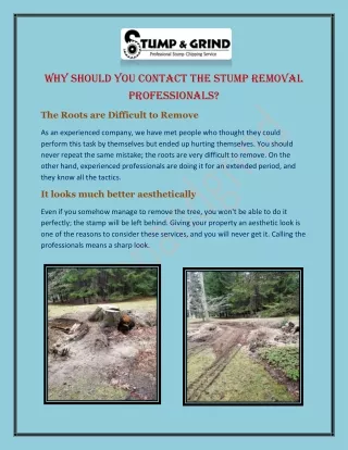Why Should You Contact The Stump Removal Professionals?