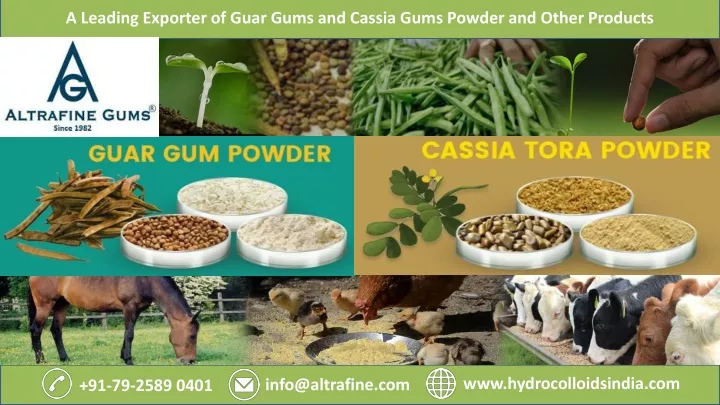a leading exporter of guar gums and cassia gums