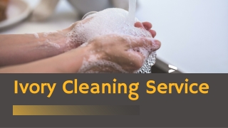 Pressure cleaning Services Adelaide