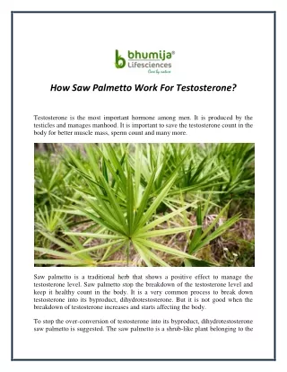 How Saw Palmetto Work For Testosterone