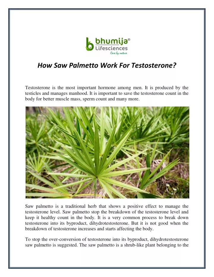 how saw palmetto work for testosterone