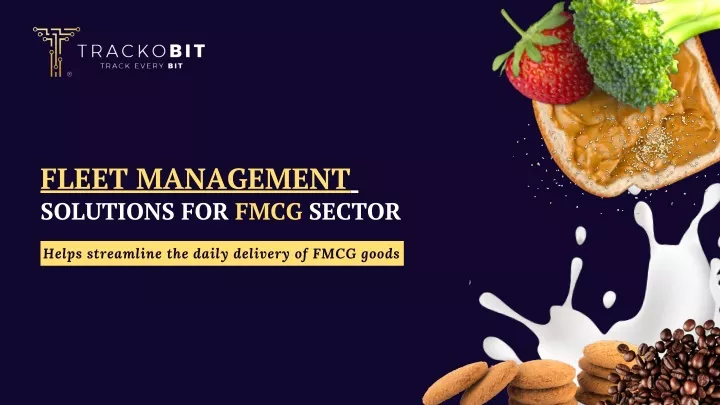 fleet management solutions for fmcg sector