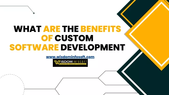 what are the benefits of custom software
