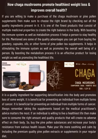 How chaga mushrooms promote healthiest weight loss & improves overall health