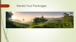 Get Amazing Kerala Tour Packages at Thomas Cook