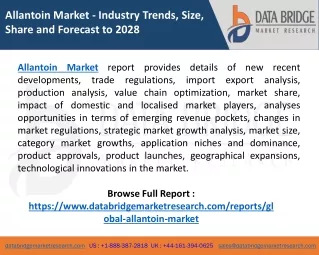 allantoin market industry trends size share