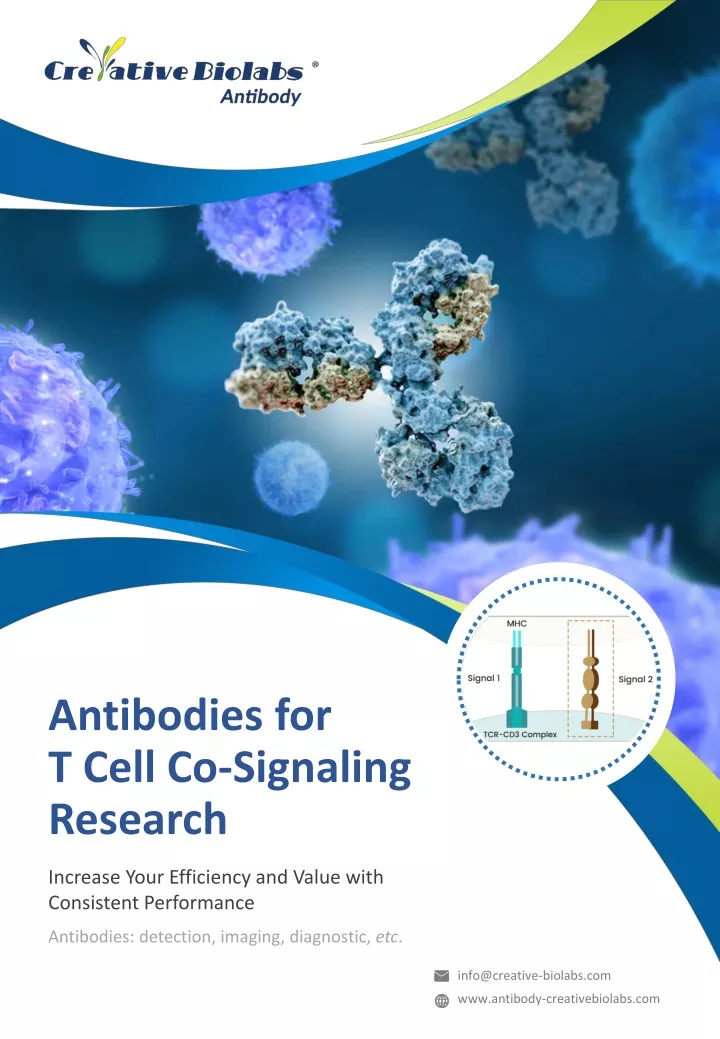 antibodies for t cell co signaling research
