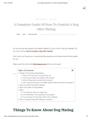 [A Complete Guide] How To Unstick A Dog After Mating_