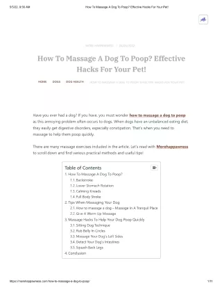 How To Massage A Dog To Poop_ Effective Hacks For Your Pet!