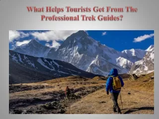 What Helps Tourists Get From The Professional Trek Guides