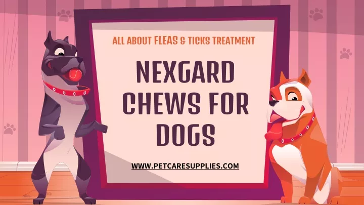 nexgard chews for dogs