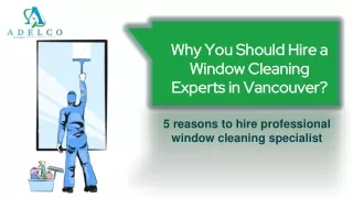 why you should hire a window cleaning experts in vancouver