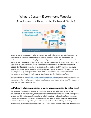 Custom E-commerce Website Development in the Details -  Roozer Technologies