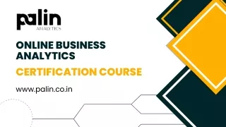 Online Business Analytics Certification Course - Palin Analytics