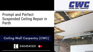 Prompt and Perfect Suspended and Drop Ceiling Repair in Perth