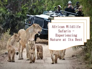 African Wildlife Safaris - Experiencing Nature at Its Best.