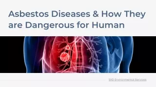 Asbestos Diseases and How They are Dangerous For Us