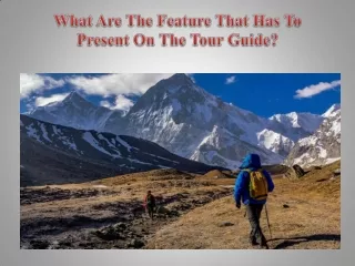 What Are The Feature That Has To Present On The Tour Guide