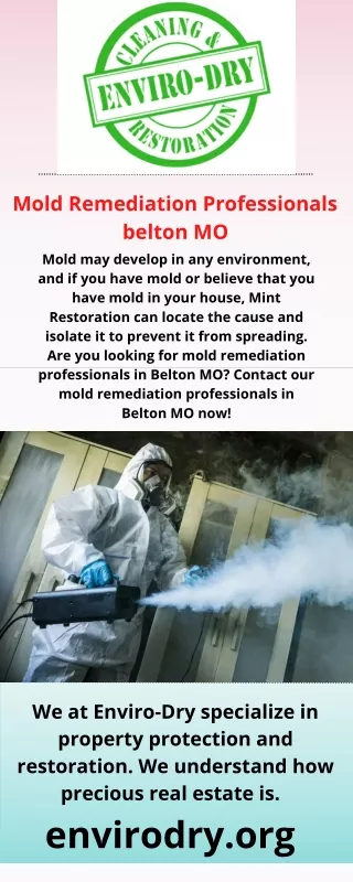 Mold Remediation Professionals  belton MO