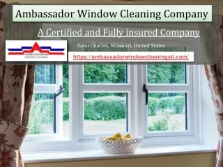 Window Cleaning St Charles