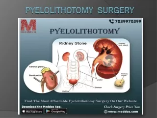 pyelolithotomy surgery