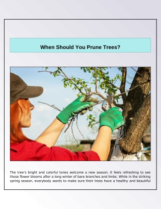 when should you prune trees