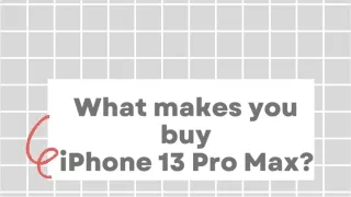 What makes you buy Iphone 13 pro Max