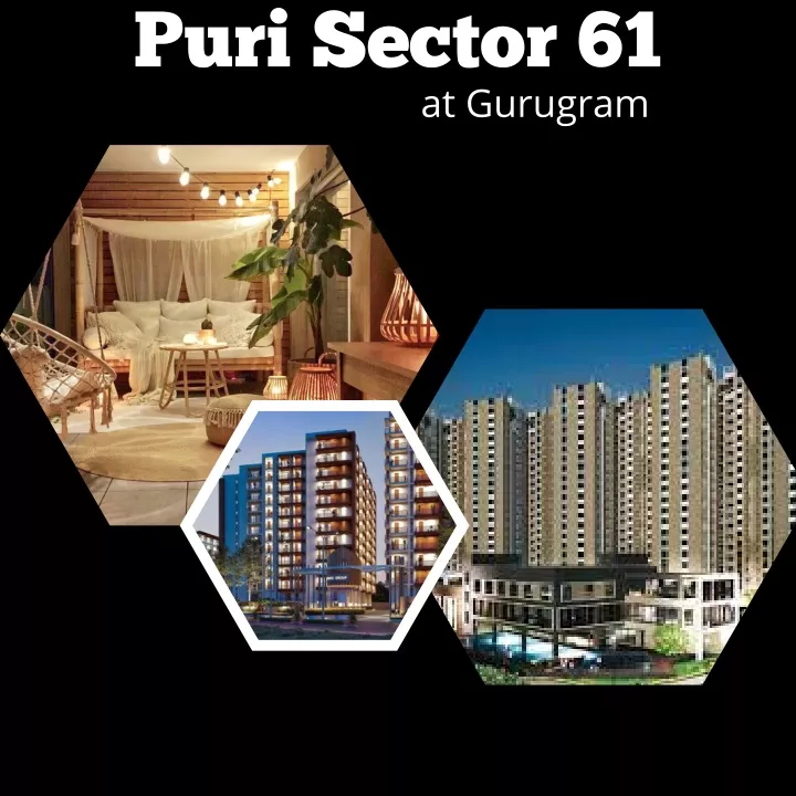 puri sector 61