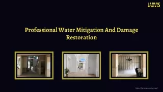 Professional Water Mitigation And Damage Restoration