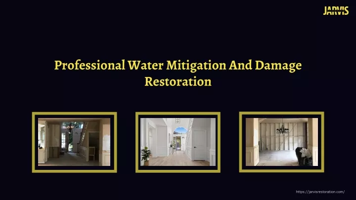 professional water mitigation and damage